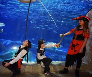 Grandi e piccoli in maschera, al via il Carnevale a Gardaland SEA LIFE Aquarium