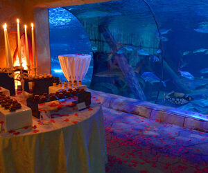A San Valentino? Gardaland SEA LIFE Aquarium dedica una serata esclusiva per 20 coppie