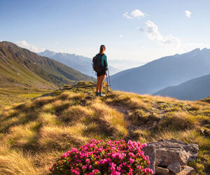 VAL DI SOLE: LA NATURA COME INGREDIENTE