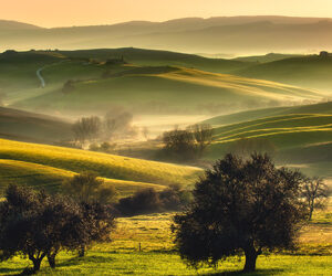 C’è una Toscana ancora da scoprire. Autentica e segreta. Un territorio che arriva al mare attraverso colline, boschi, oliveti, vigneti, antichi borghi, ville grandiose. E attraverso un fiume, l’Arno, che compie in queste terre l’ultimo suo tratto d’esistenza prima di sfociare in mare.