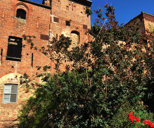 CASALE MONFERRATO: CULTURA E GOLOSITÀ