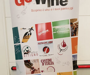 Focus Pinot Nero di “Go Wine “