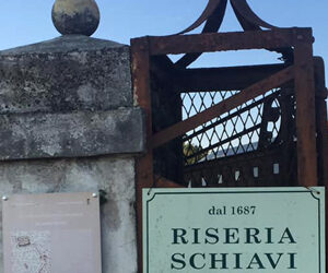 Parco del Mincio: il progetto “Naturalmente Stabili, Per Natura Dinamici”