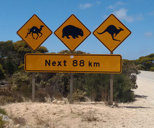 IL MINIMALISMO E LA VITA ON THE ROAD IN QUEENSLAND