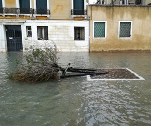 PROGETTO AQUAGRANDA: UNA MEMORIA COLLETTIVA DIGITALE PER VENEZIA