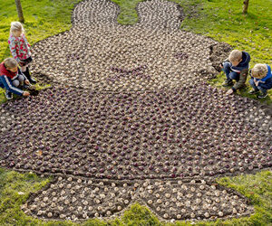 Keukenhof plants miffy mosaic for celebration of 65th birthday