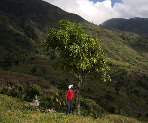 TREEDOM: IL PRIMO SITO PER ADOTTARE O REGALARE UNA PIANTA