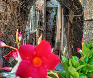 Parco Nazionale D'Abruzzo, Lazio e Molise