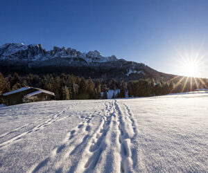 VACANZA INVERNALE LUNGO PERCORSI INNEVATI, SU UNA SLITTA TRAINATA DA FANTASTICI CAVALLI