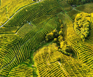 VALDOBBIADENE – Le colline del made in Italy