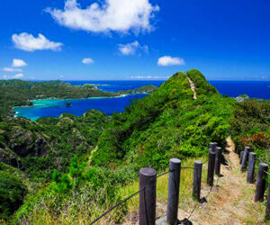 Un viaggio nelle "isole Ogasawara", un patrimonio naturalistico tutto da scoprire