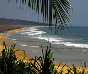 APPOINTMENT IN KOVALAM