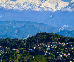 Wes Anderson's "The Darjeeling Limited" (2007): A Tale of Two Journeys