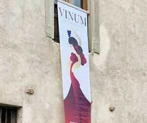 Premio VINUM 2021: i nomi di tutti vincitori del concorso dei migliori vini e spumanti di Puglia