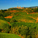 Discovering the places where great Italian wines are born