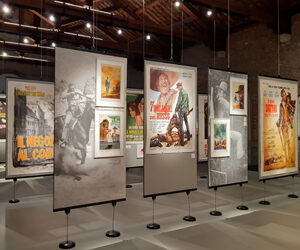 Collezione Salce e della mostra Renato Casaro a Treviso.