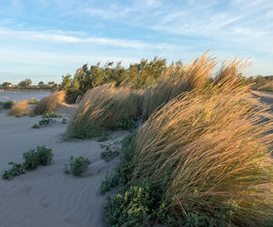 PARCO REGIONALE VENETO DEL DELTA DEL PO: NON SOLO NATURA, MA ANCHE ARCHEOLOGIA