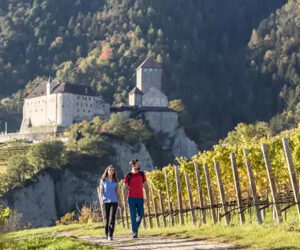 Tirolo, un borgo Di-Vino