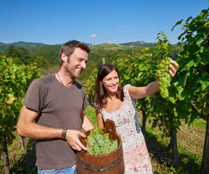 Autunno in Slovenia. Un viaggio alla scoperta delle strade del vino