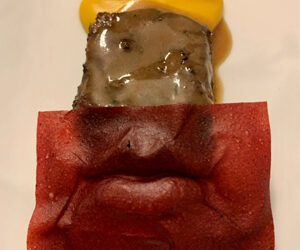 Al RistorArte ViVo di Bologna il cibo è arte da gustare