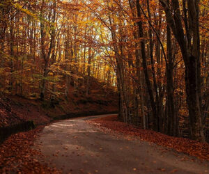 Autunno outdoor? Sei idee per per vivere tutta la magia della stagione autunnale