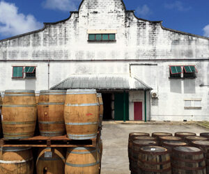 Il 1703 e il rum più antico del mondo: benvenuti a Barbados