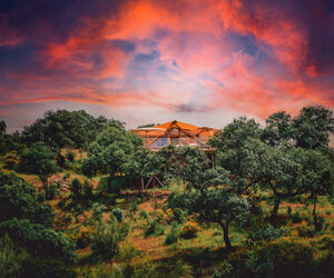 GLAMPING LA DEHESA EXPERIENCE