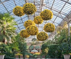 Il fascino dell'inverno continua nel tranquillo paesaggio ai Longwood Gardens