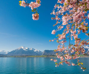 Interlaken, nel cuore della Svizzera più autentica: tra natura, bellezza, tradizioni e nuove esperienze