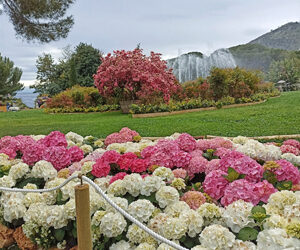 L’8 maggio 2022 si è conclusa la dodicesima edizione di Euroflora: un paradiso terrestre per gli amanti della botanica