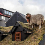 Isole Faroe in Danimarca: tutto quello da fare e da vedere per una vacanza estiva