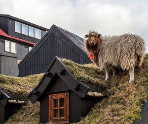 Isole Faroe in Danimarca: tutto quello da fare e da vedere per una vacanza estiva