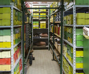 POMPEIAN HERITAGE AND ITS MULTIPLE HISTORIES THROUGH CONTEMPORARY METHODOLOGIES 