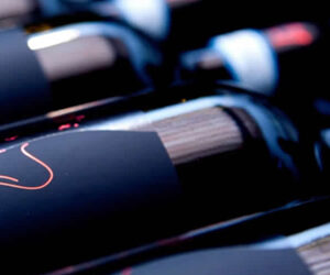 Special tasting while waiting for the harvest, protagonist the Brunello di Montalcino