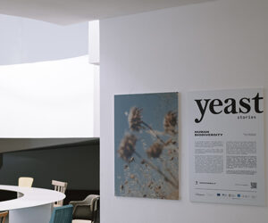 IL CIBO RACCONTATO ATTRAVERSO LA FOTO: DALLA PUGLIA, IL NUOVO FORMAT " YEAST PHOTO FESTIVAL"