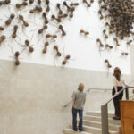 Le formiche Giganti? In Mostra al Rijksmuseum di Amsterdam