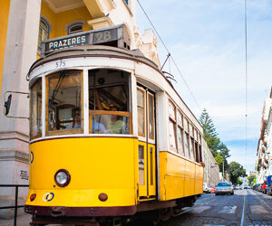 Lisbona alternativa in autunno: turismo fluviale e birdwatching