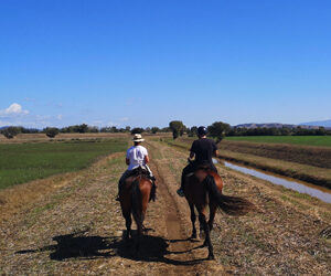 Esiste ancora una terra magica, selvaggia e incontaminata dove la natura è protagonista: siamo nel Parco Naturale della Maremma