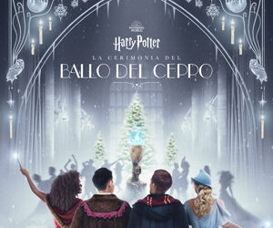 Harry Potter - La Cerimonia del Ballo del Ceppo: una serata emozionante e festosa nel mondo magico di Hogwarts