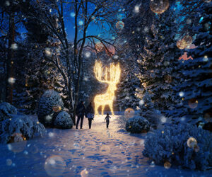 L’ATMOSFERA DI NATALE Ed i suoi SUGGESTIvi mercatini IN SCENA NELLA REGIONE DI Innsbruck