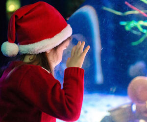 Gardaland Magic Winter: le imperdibili novità fino all’8 gennaio 2023