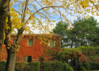 Fondazione Barbanera per l’anno che verrà