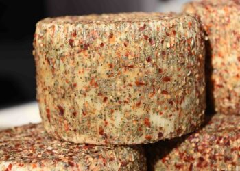 “FORMAGGI E SORRISI” 2024: L’Italia del Gusto in scena a Cremona