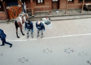 A Gardaland sulle tracce di un maestoso lupo…alto 16 metri