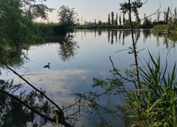 l'Eden tra le Valli e le Vallette del Delta del Po
