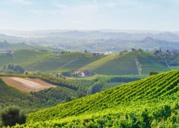 Cinque mete (imperdibili) per una vacanza all’ultimo minuto