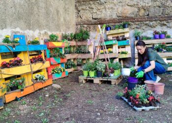 La "Milano Green Week 2024" va in scena a Cascina Cuccagna