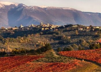 "Umbria Wine", alla scoperta dei vitigni autoctoni e delle denominazioni di qualità