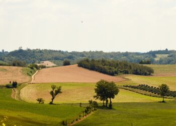 Panorama Monferrato: L’edizione 2024 è la quarta