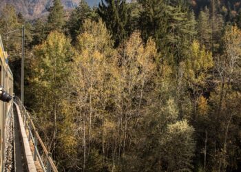 Il foliage sulla Ferrovia Vigezzina-Centovalli